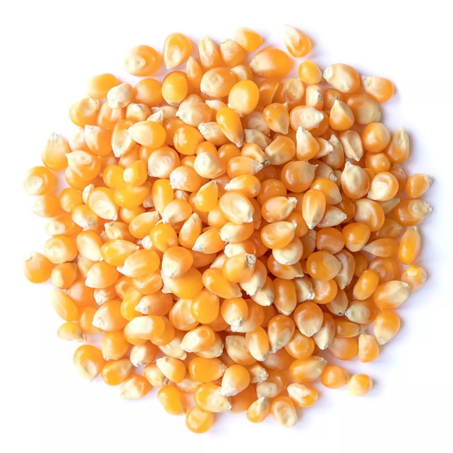 Organic Yellow Popcorn – Non-GMO, Whole, Vegan - 100% Natural Premium Quality! - 100g