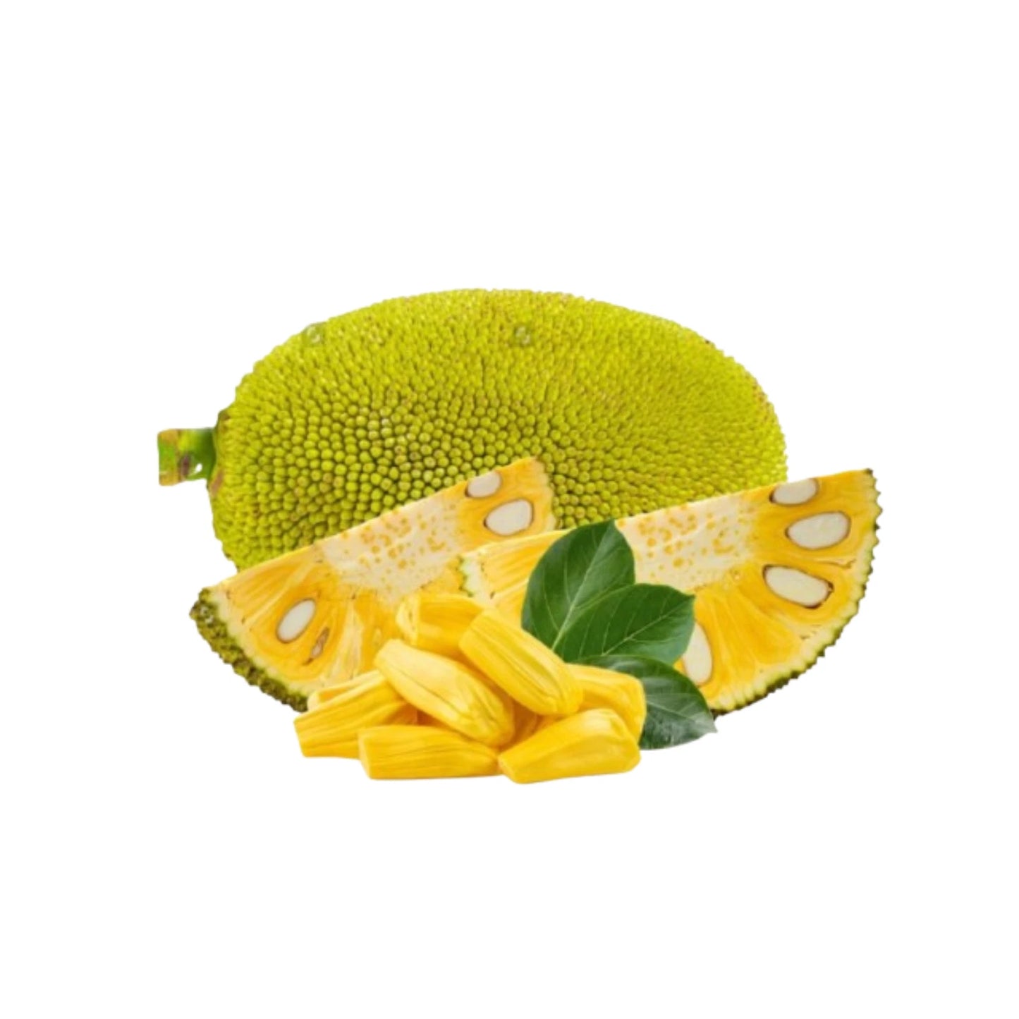 Organic Dried Jackfruit - 100% Pure Natural Dried Jackfruit Premium Quality!