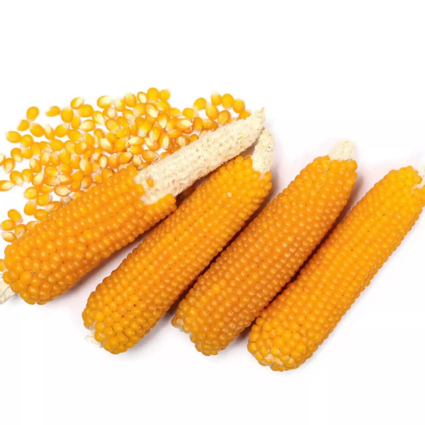 Organic Yellow Popcorn – Non-GMO, Whole, Vegan - 100% Natural Premium Quality! - 100g